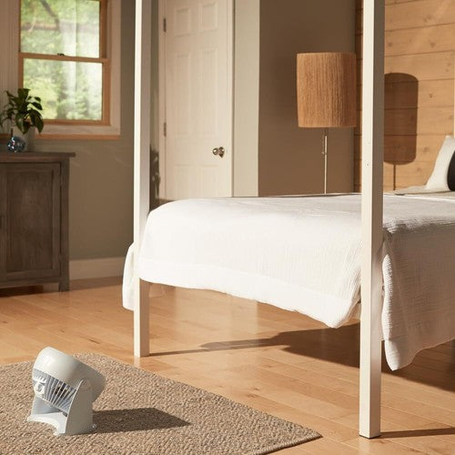 TurboForce Small Air Circulator Fan - White